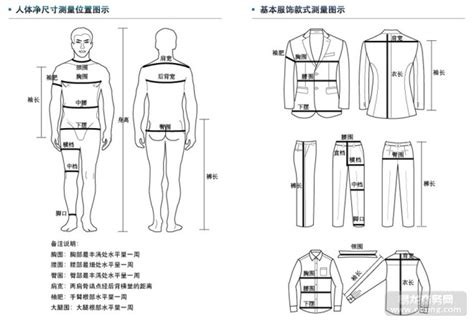 人 肩寬|人正常的肩宽应该是多少